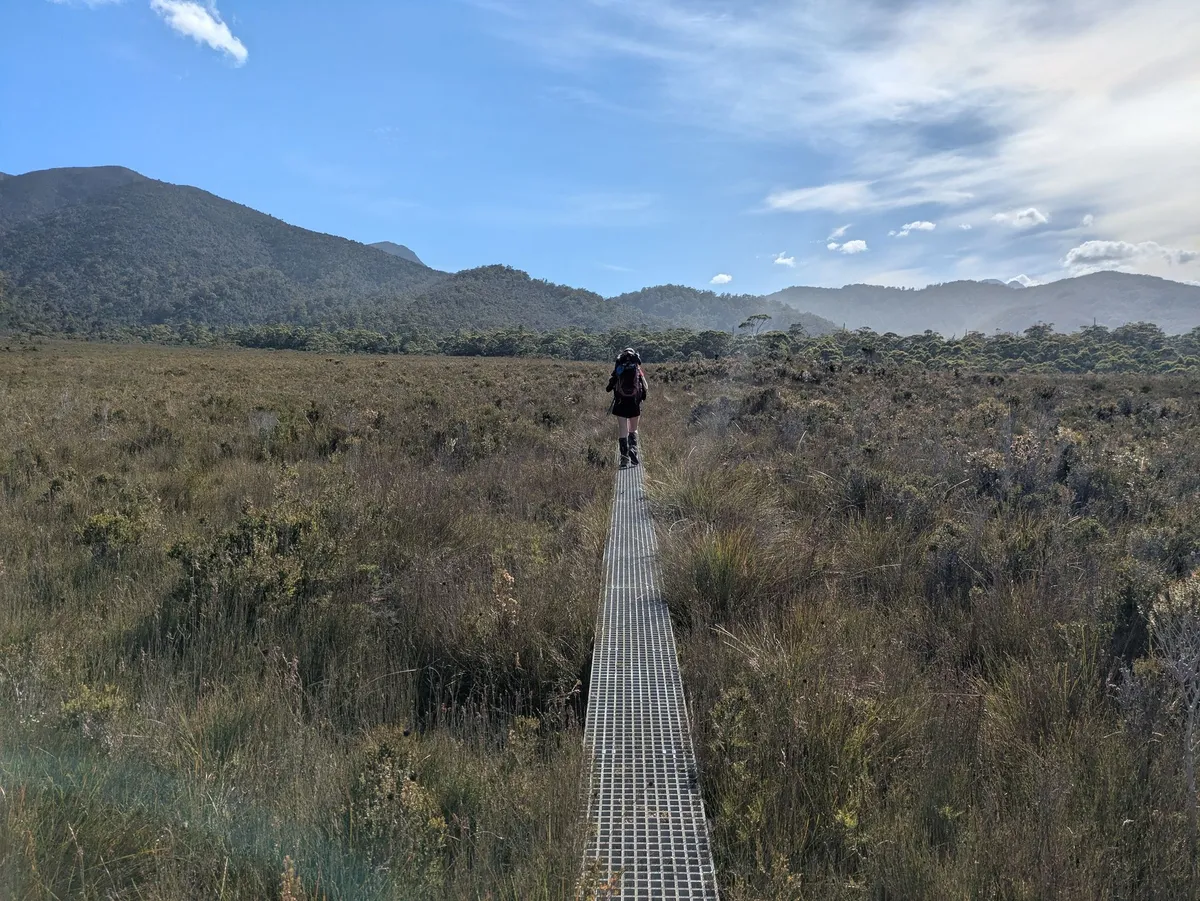 Plaine de buttongrass, randonneur sur un boardwalk au milieu