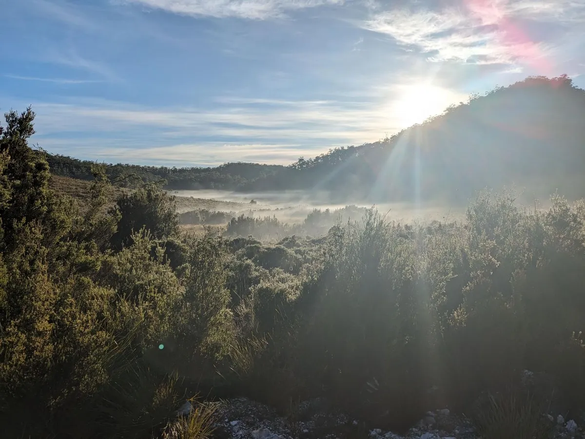 Loddon Plains dans la brume matinale