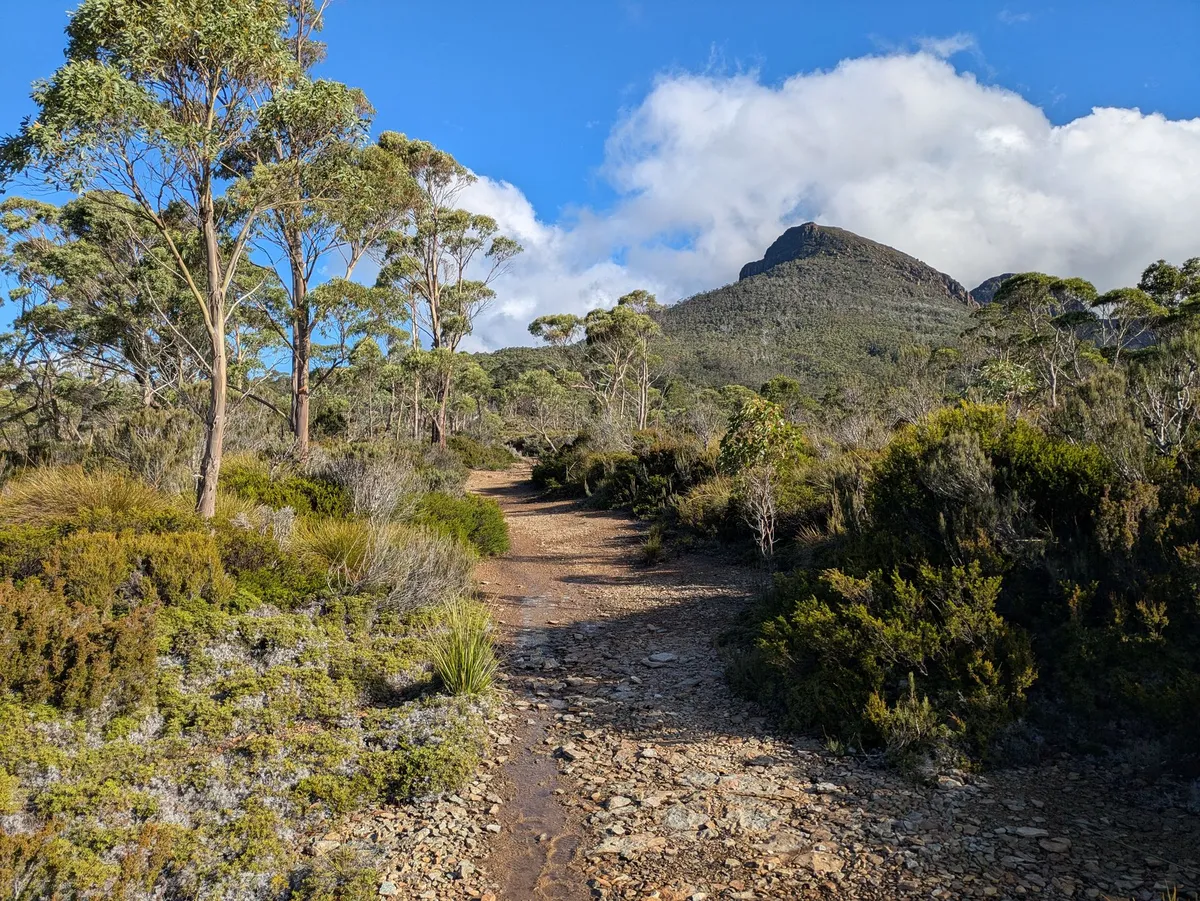 Piste 4x4 menant au mont King William I