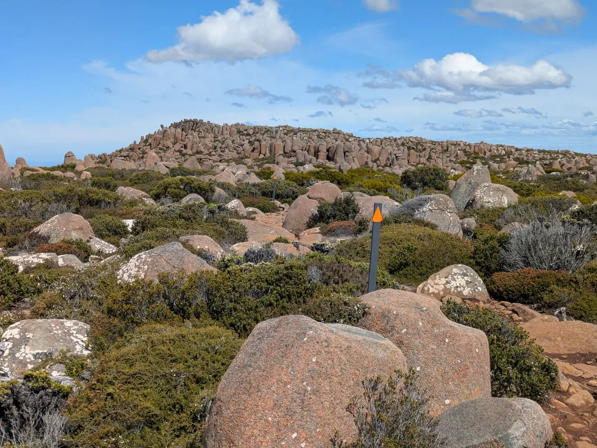 Plateau alpin de South Wellington