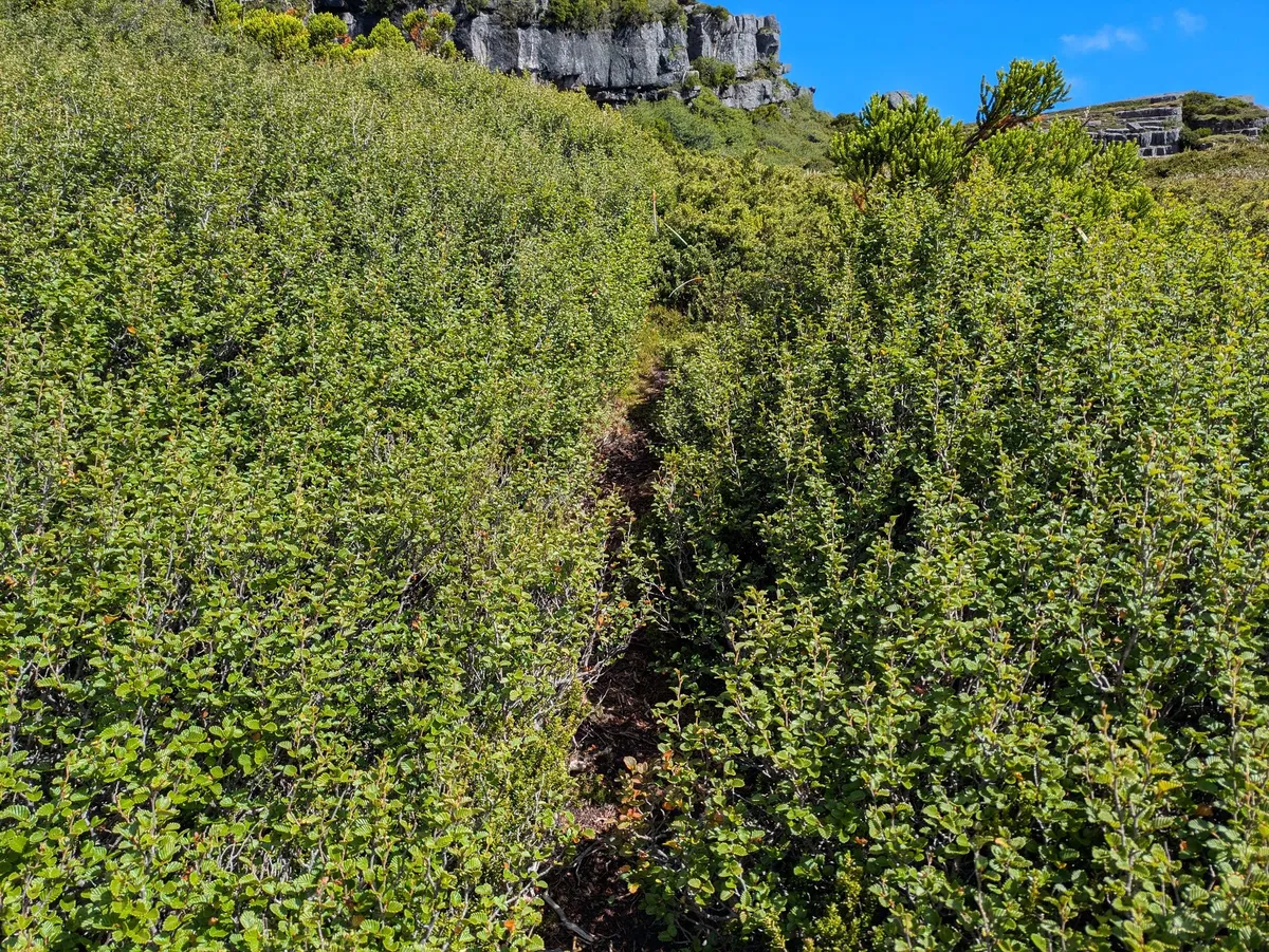 Sente se dirigeant vers le belvédère du lac Huntley
