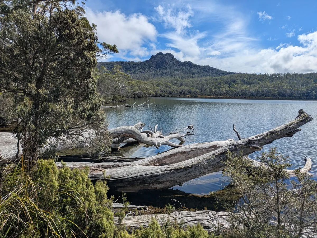 Shadow Lake