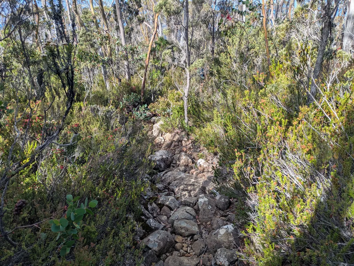 Sentier de randonnée fait de roches