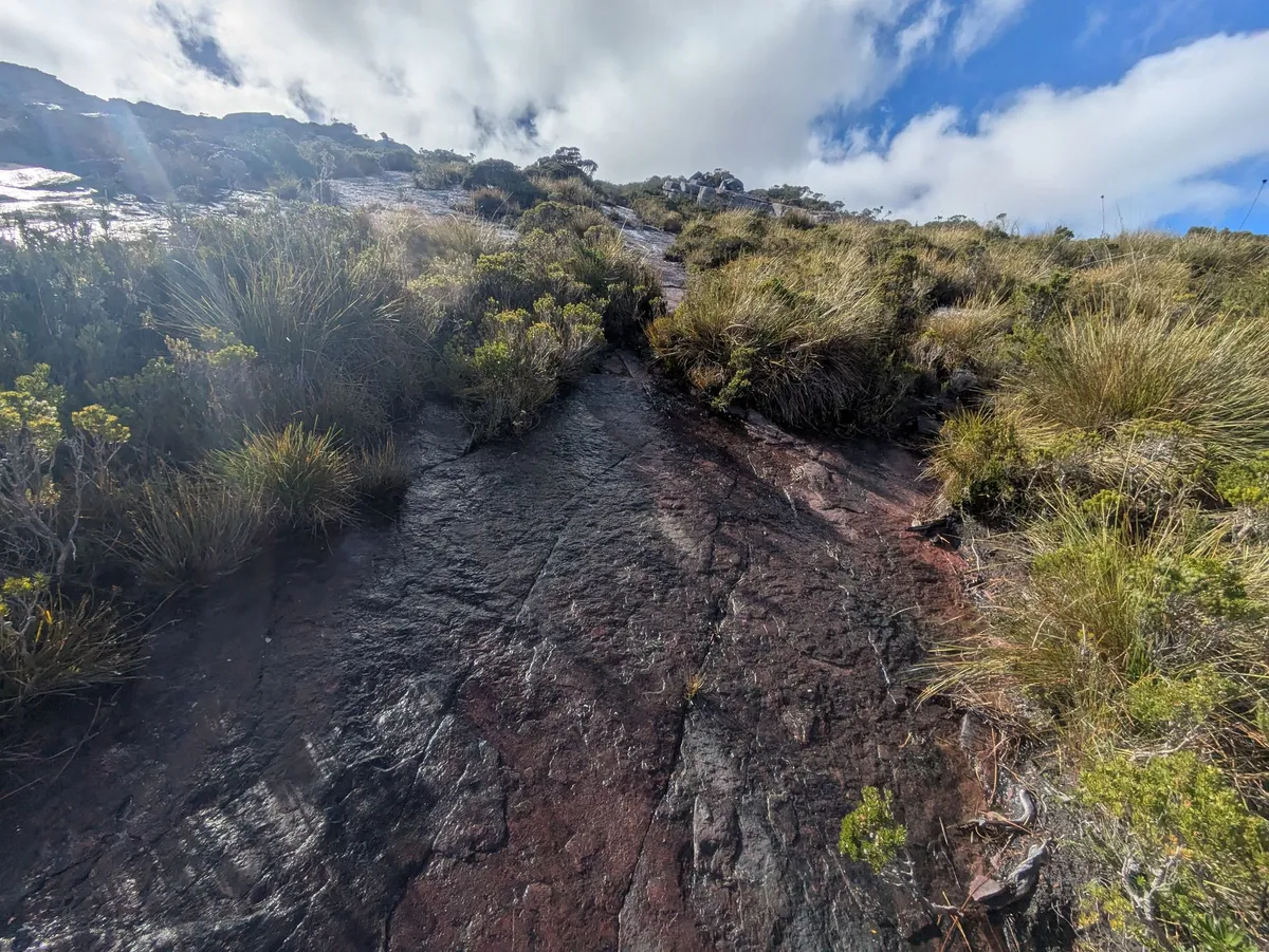 Dalles rocheuses