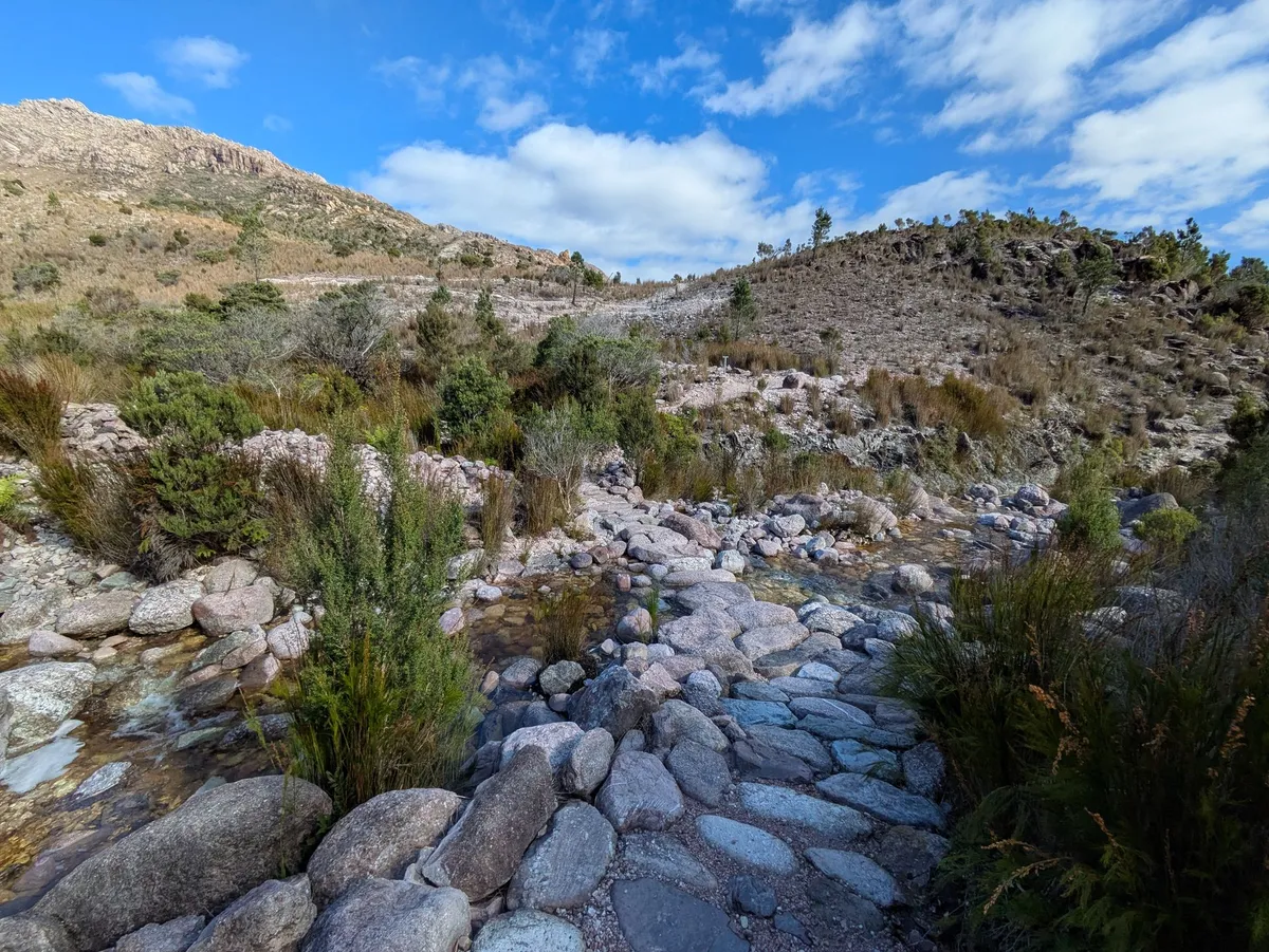 Pierres aménagées pour traverser le ruisseau