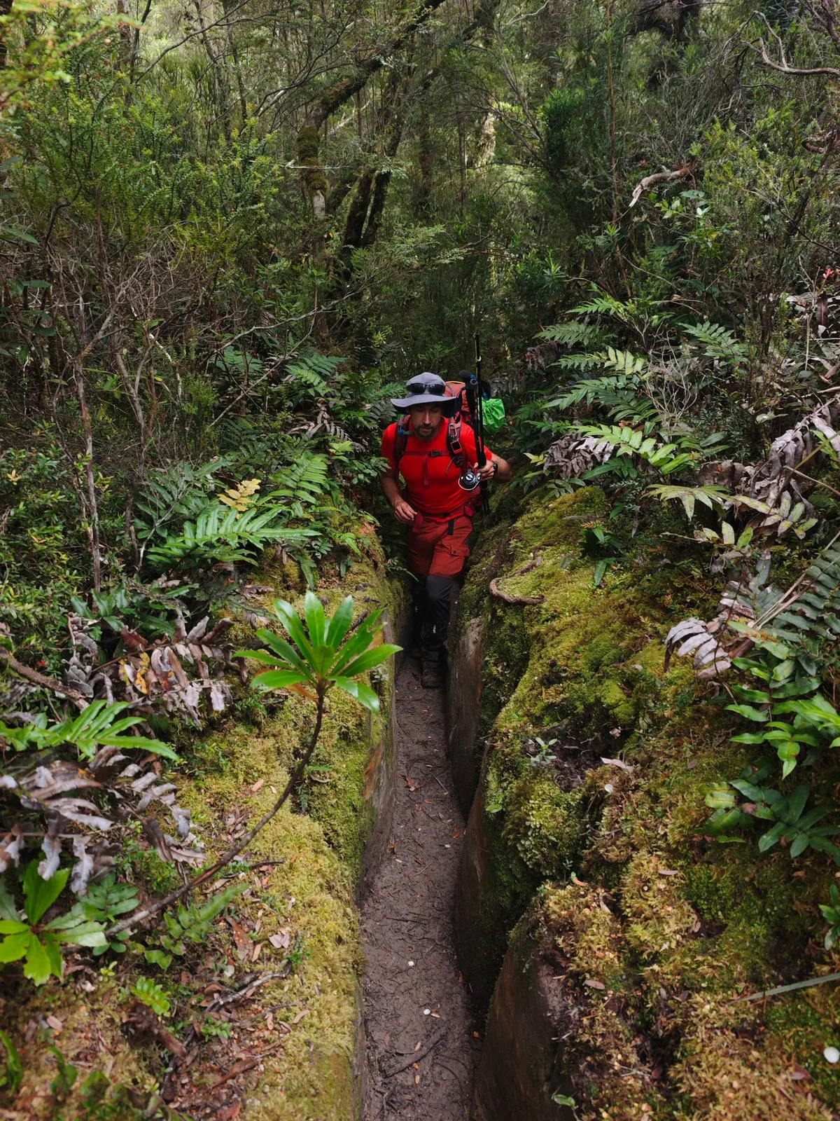 Sentier étroit façonné par les pluies
