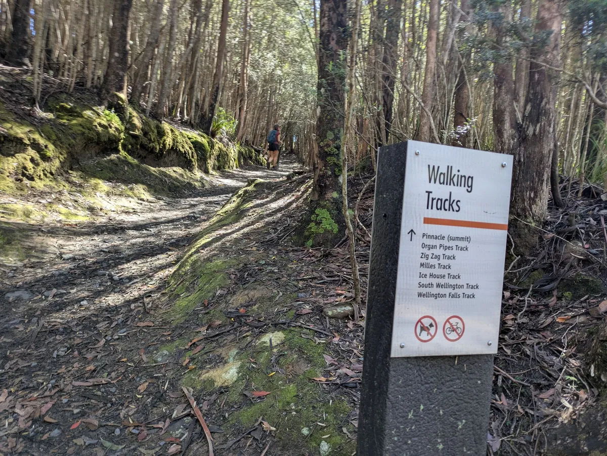 Panneau d'accès aux sentiers du Mount Wellington