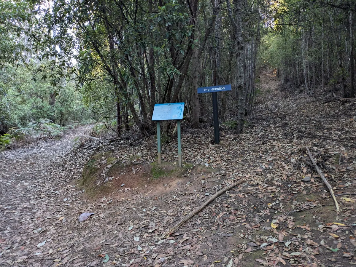 The Junction