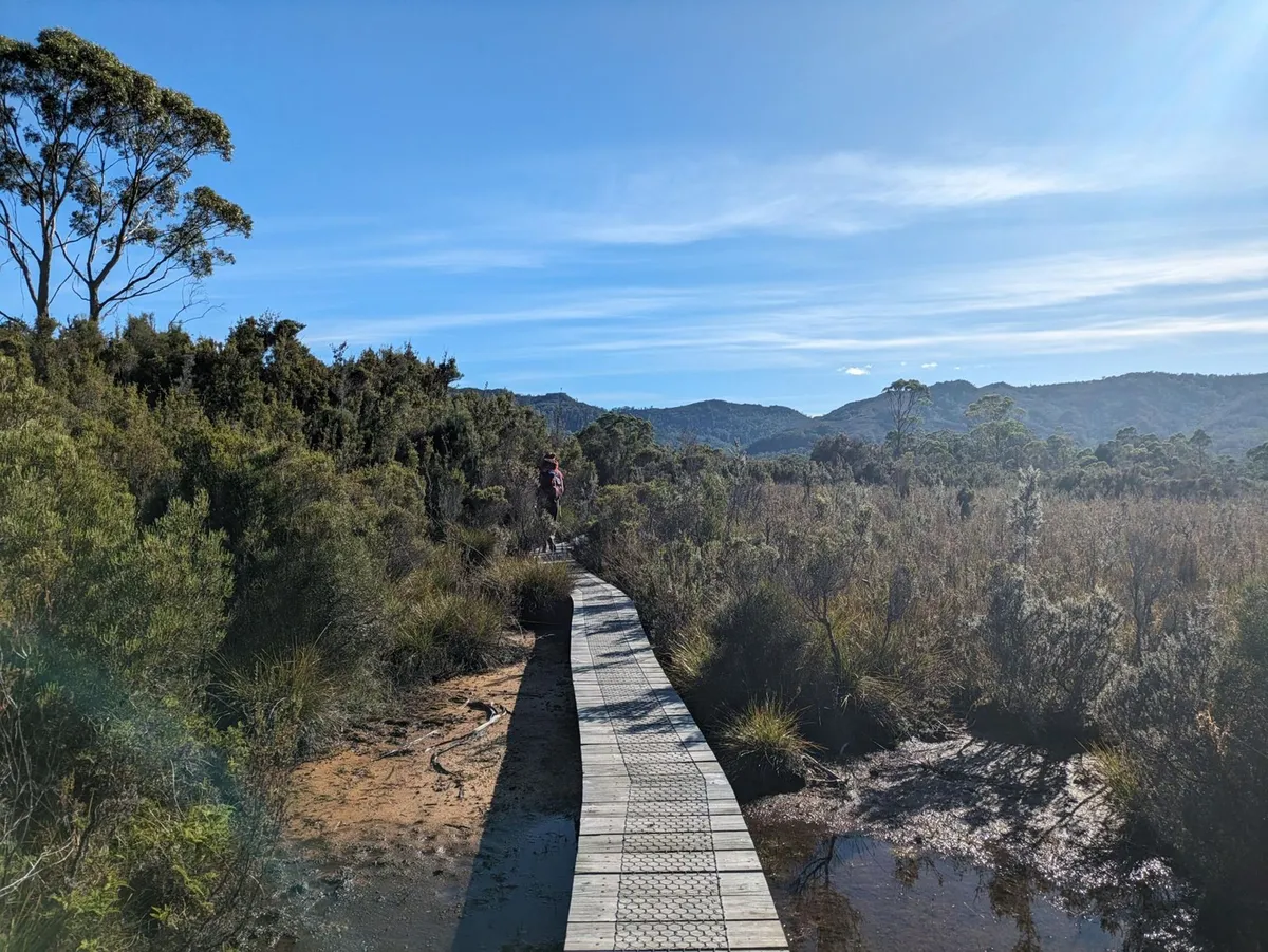 Randonneur sur un boardwalk évitant une flaque boueuse