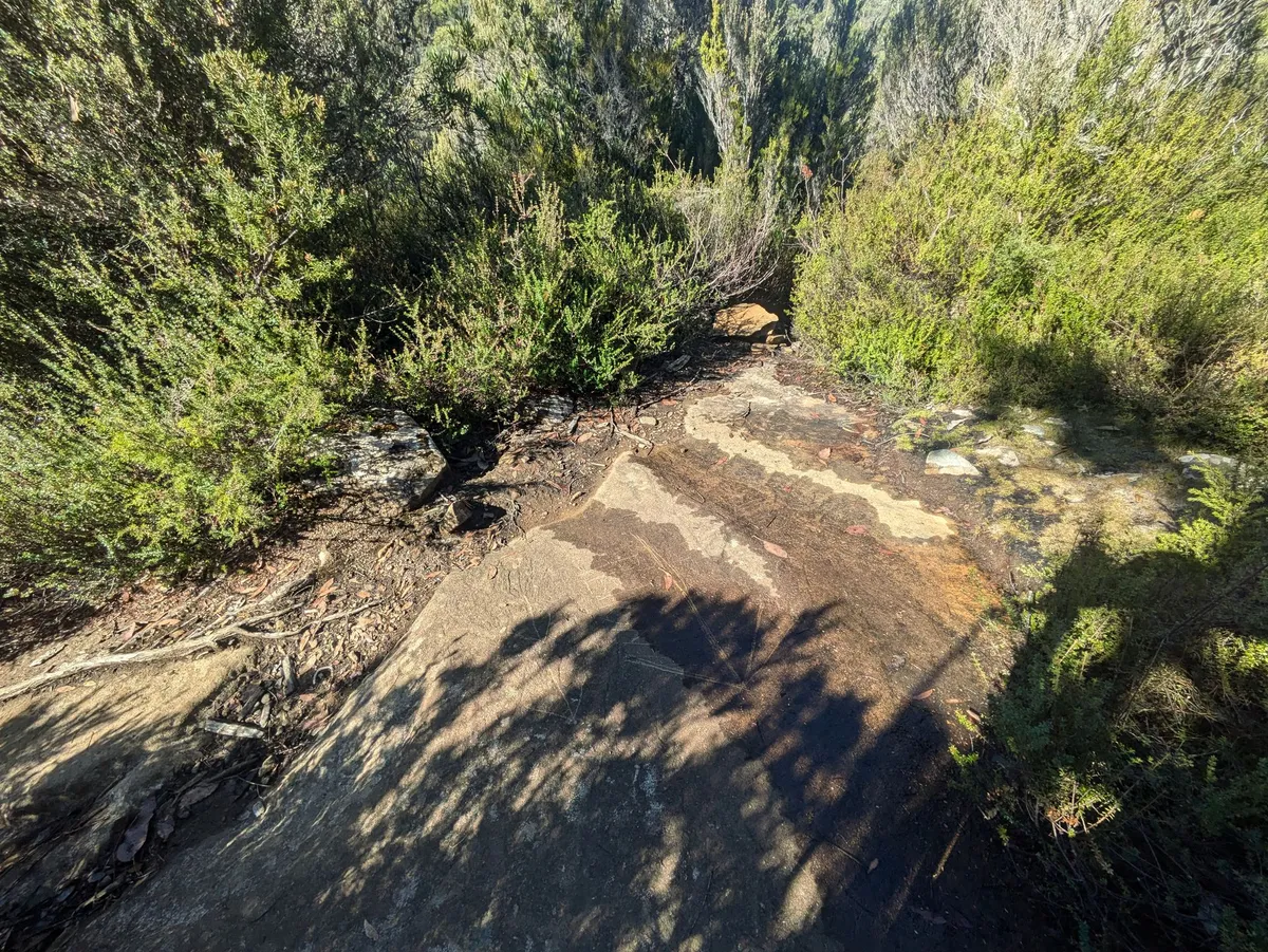 Intersection Arm River Track / Mt Pillinger
