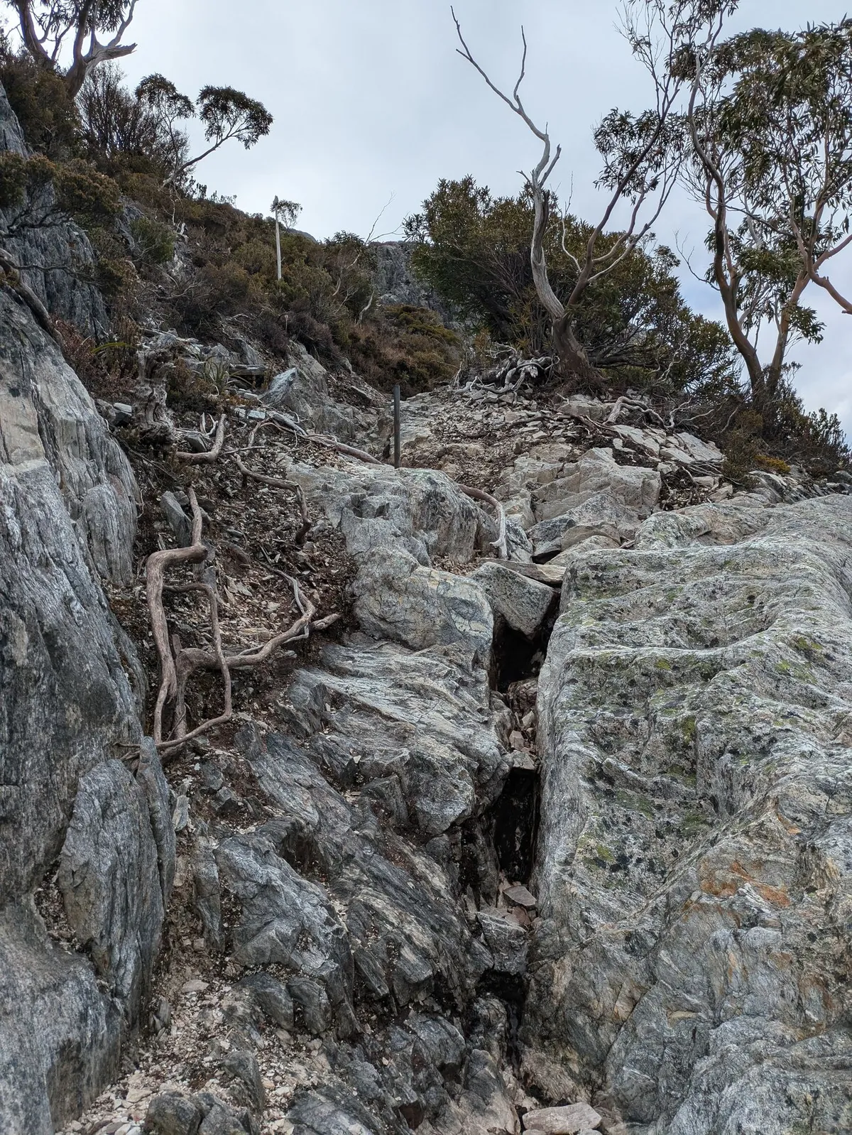 Section de marche raide en montagne