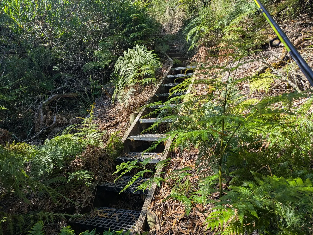 Escaliers raides dans la forêt