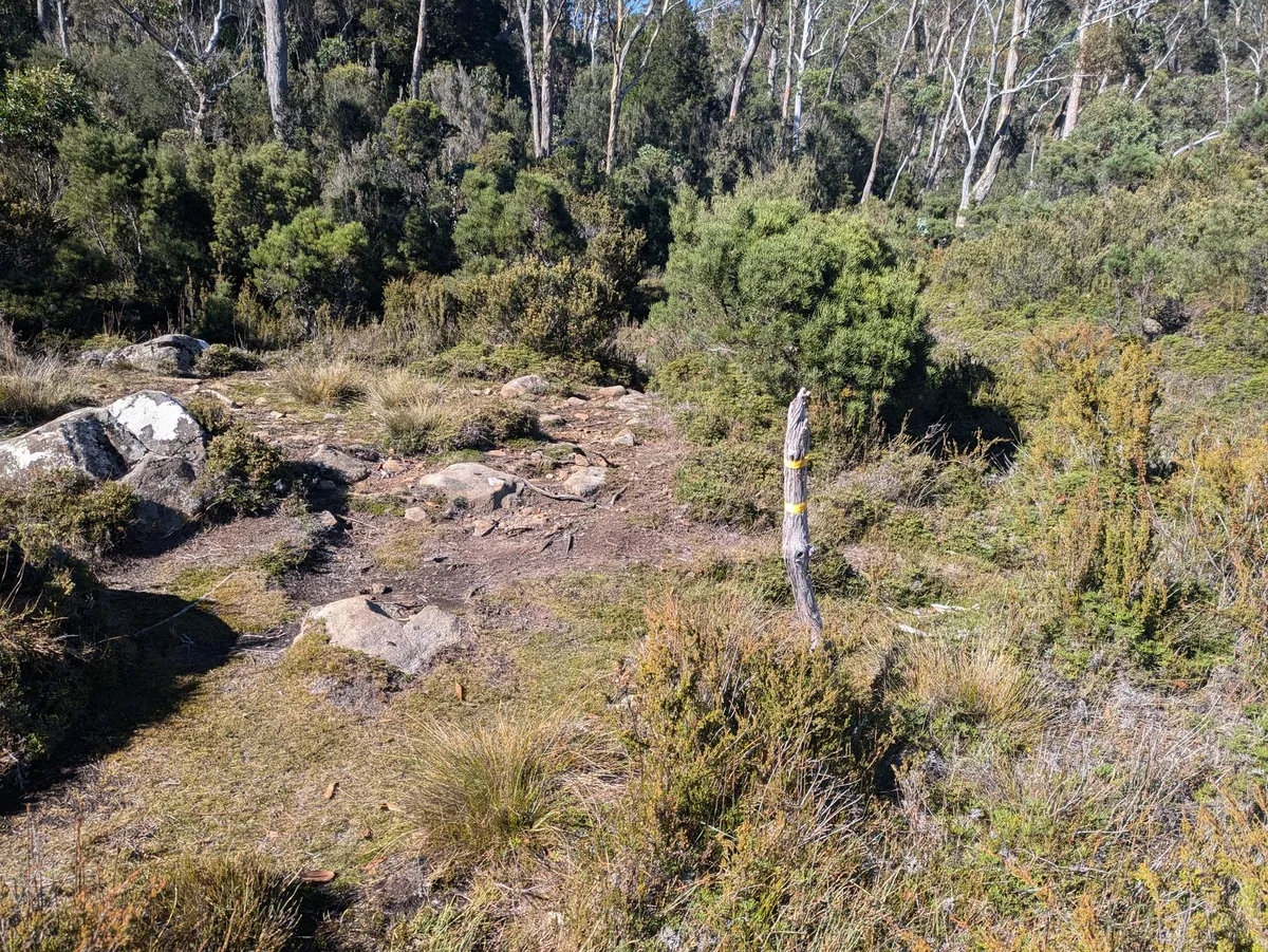 Intersection avec l'Arm River Loop Track