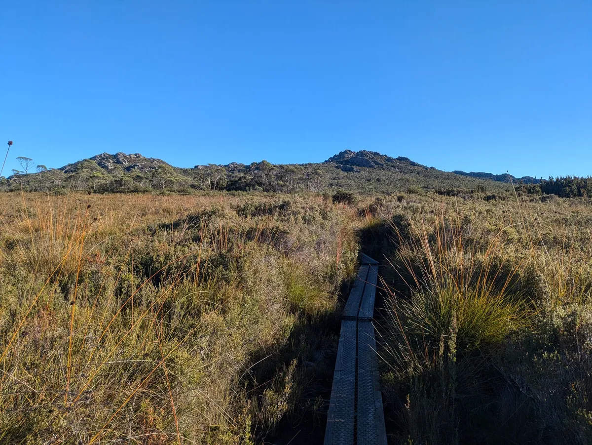 Boardwalk vers le Mount Roland