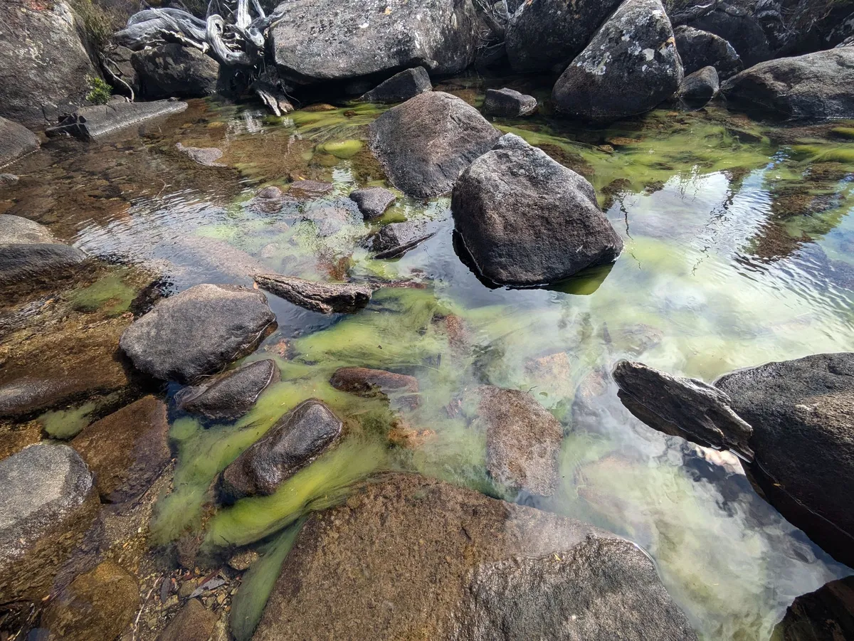 Ruisseau clair