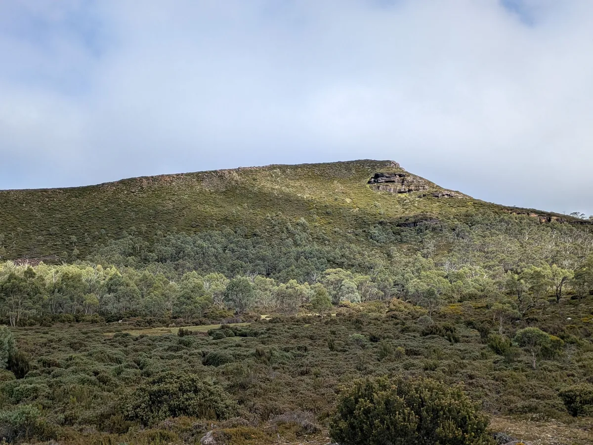 Epaule du Mt Rufus depuis la clairi¡ere
