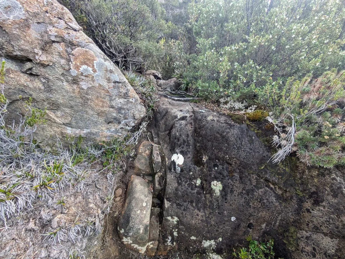 Rocher à escalader