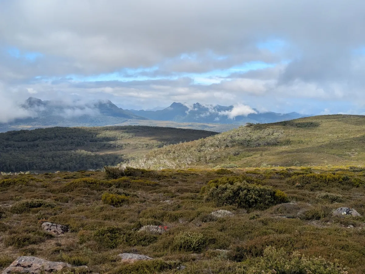 Sommets de du Wild Rivers National Parc, dans les nuages