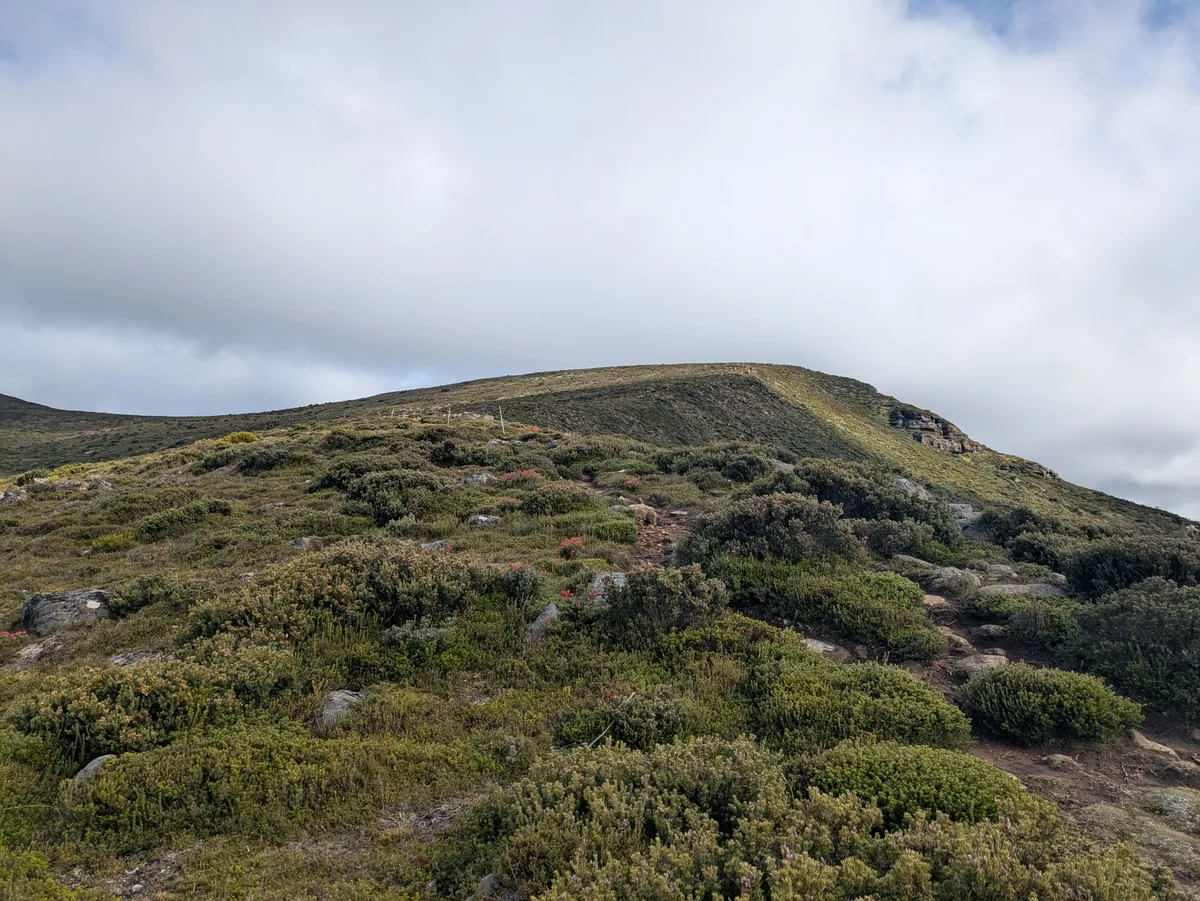 Epaule alpine vers le Mt Rufus