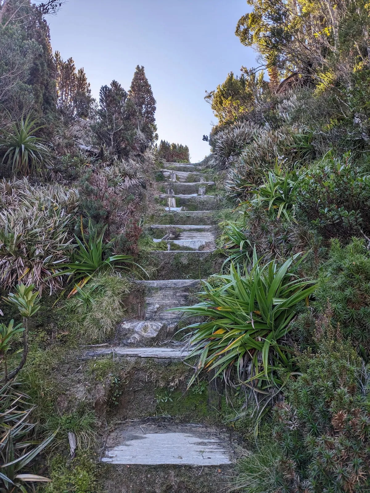 Escalier aménagé sur un sentier de randonnée