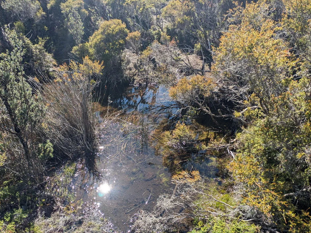 Flaque d'eau recouvrant le sentier