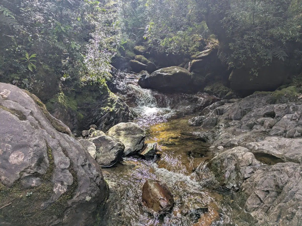 Rivière au coeur de la rainforest