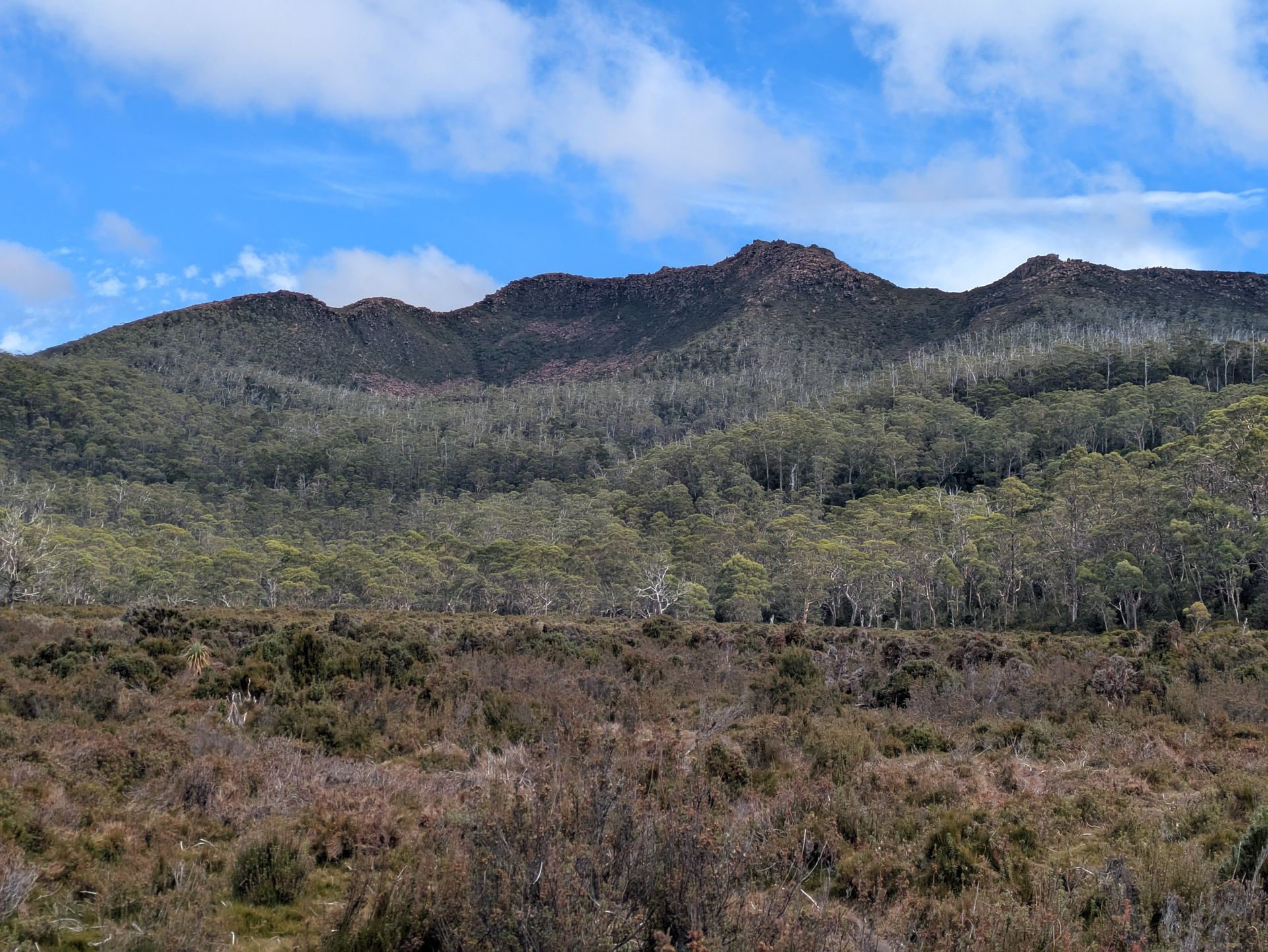 Mount Rufus