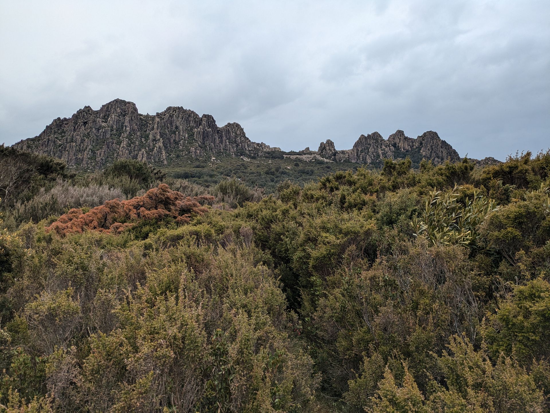 Mount Victoria
