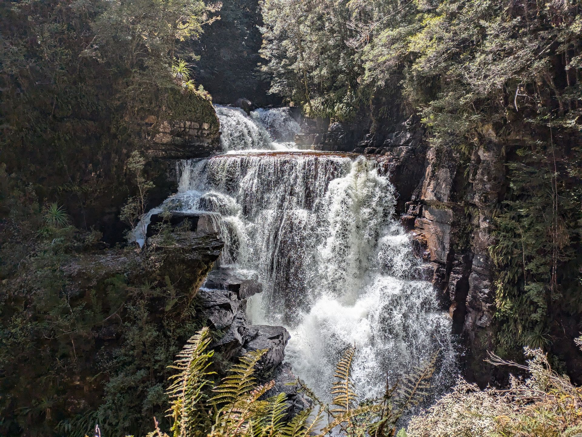 Overland Jour 5: De Kia Ora à Windy Ridge